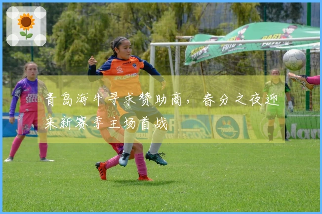 青岛海牛寻求赞助商，春分之夜迎来新赛季主场首战